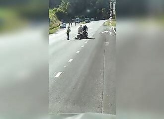 Une femme armée tasée sur l'autoroute M1