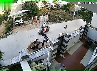 Young woman attacked by a pack of stray dogs in India