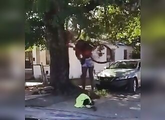 He is hit by a giant transsexual on a bicycle