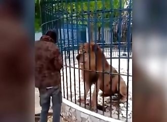 He puts his hand in the lion's cage to take a selfie