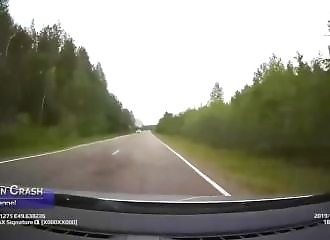 Le cri d’un conducteur effraye un élan (Russie)