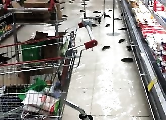 Géorgie : des poissons “nagent” dans un supermarché