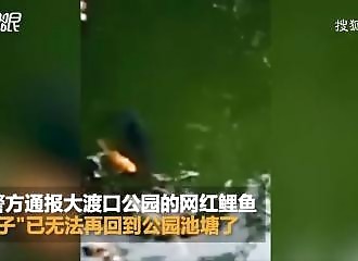 La police arrête un homme qui vole des poissons dans des étangs publics (Chine)