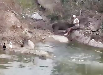 A youtuber is attacked by a deer (informed public)