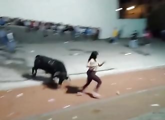 Elle cherche un taureau, et finit par le payer !