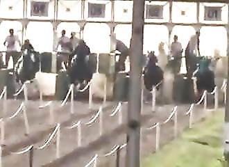 Brésil : lors d’une course hippique, un cheval chute lourdement et meurt peu après