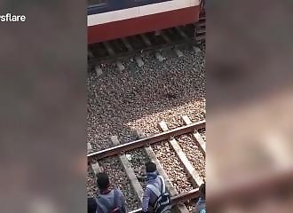 Il se trouve sur la voie ferrée alors que le train arrive (Inde)