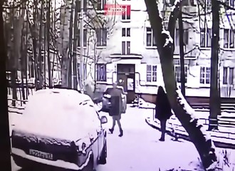 Tuée sur le coup par la chute d’un arbre (Russie)