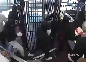 Jewelry store looted by a gang of 30 people in Los Angeles