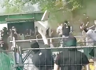 Des hooligans font fuir la police en Allemagne