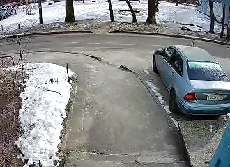 Une meute de chiens errants poursuit et attaque une écolière