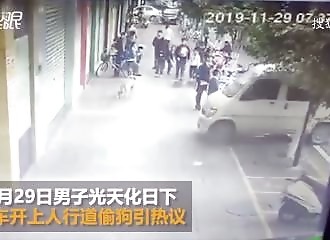 En toute impunité, des voleurs de chiens agissent en plein jour (Chine)