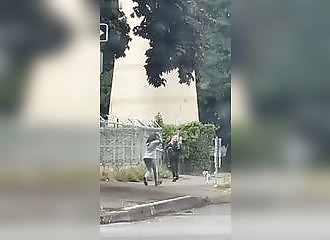 Une femme promenant son chien se fait agresser par une folle armé d'un marteau