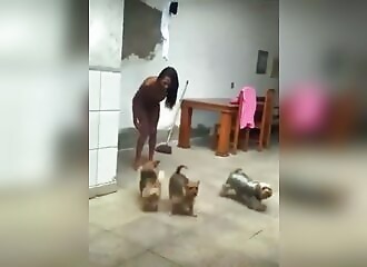 Attacked by dogs, this trans has the wrong reflex!