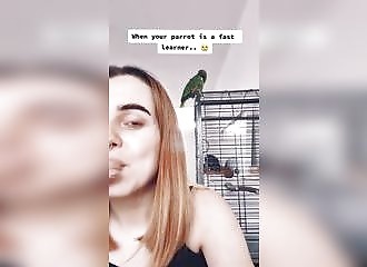 Un perroquet répète ce qu'il attend chaque nuit