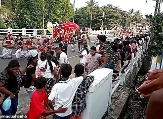  Un éléphant déchaîné écrase son soigneur lors d’un festival au Sri Lanka