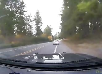Spectacular driver pursuit stopped by police after car chase in Thurston