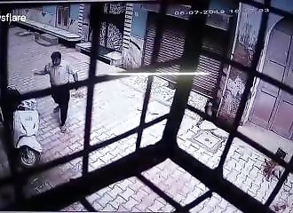 Des singes filent une grosse raclée à un humain (Inde)